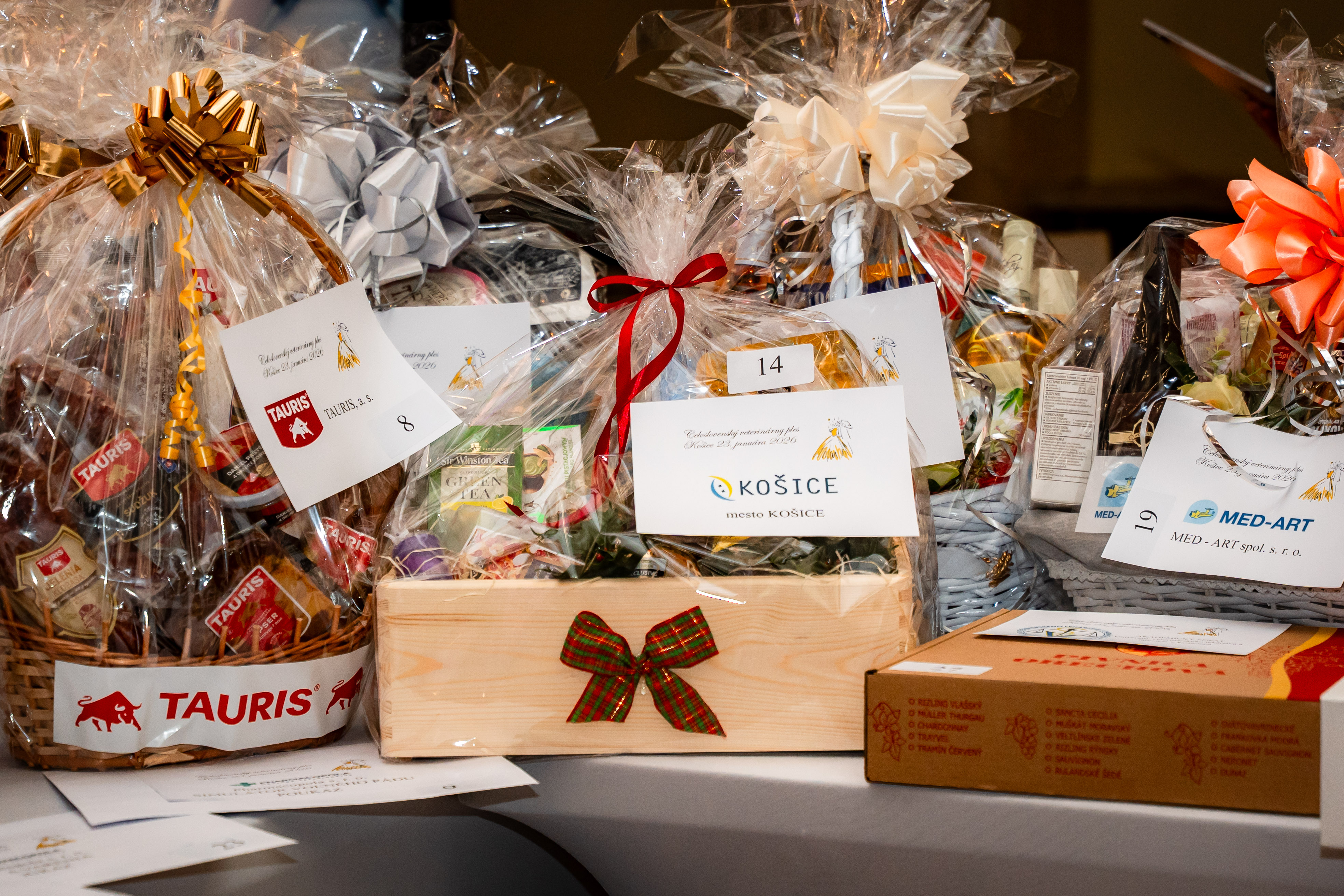 Celoslovensky veterinarny ples-27